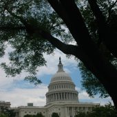  The US Capitol Washington DC